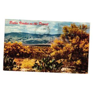 Palos Verdes On The Desert Vintage Postcard 60s Cactus Yellow Trees Tad Nichols